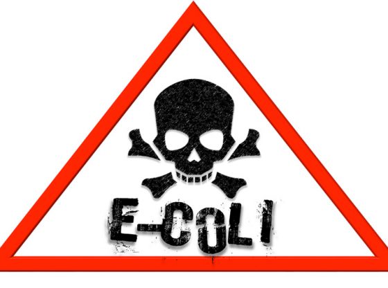 e.coli