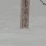 snow level