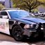police.
