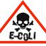 e.coli